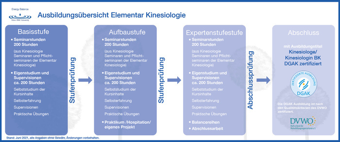 bersicht Kinesiologie Ausbildung Energy Balance