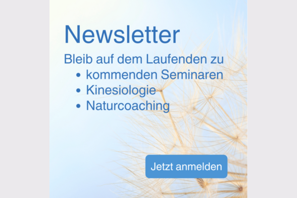 Newsletter